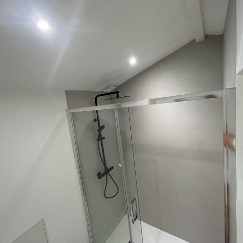 Transformation d’une dépendance maison en salle de sport avec douche toulouse 31 haute garonne (6)