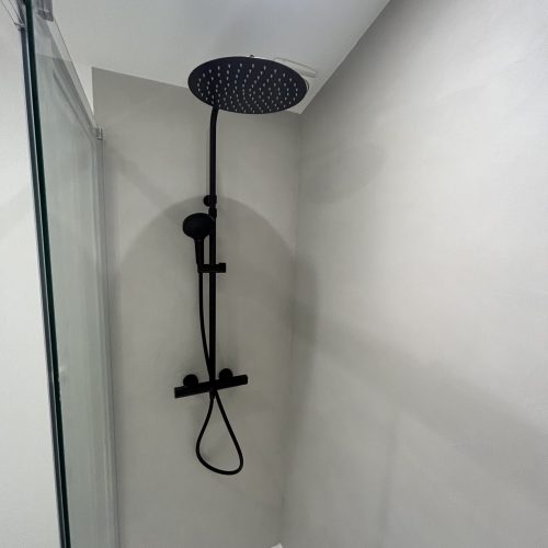 Transformation d’une dépendance maison en salle de sport avec douche toulouse 31 haute garonne (8)